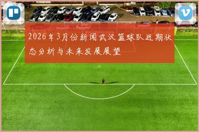 2026年3月份新闻武汉篮球队近期状态分析与未来发展展望